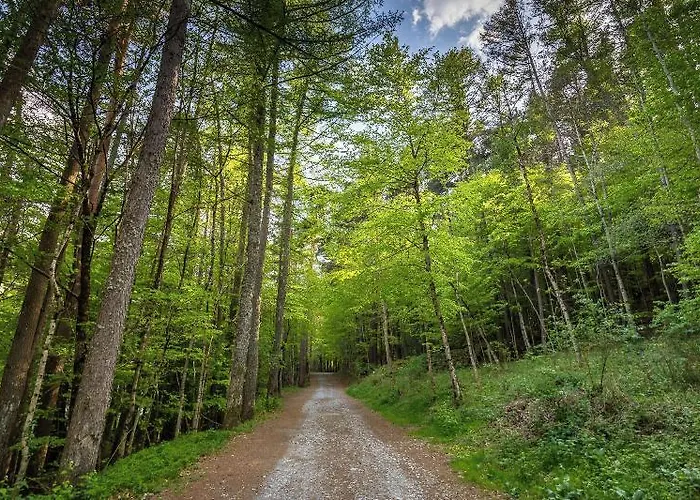 호텔 Estacion Royal Hideaway 5*